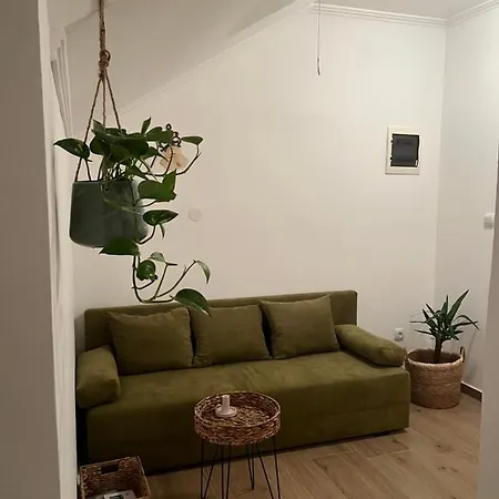 Guest Radic Soba Apartment Palic