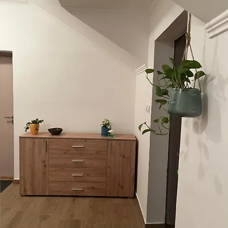 Guest Radic Soba Palić