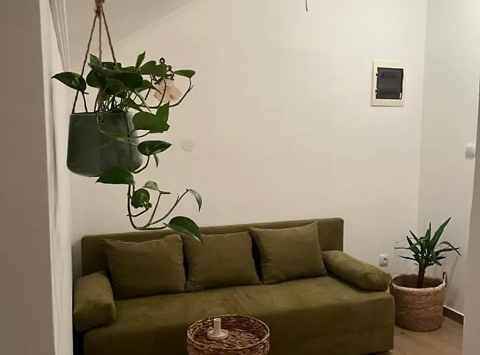 Guest Radic Soba Daire Palić