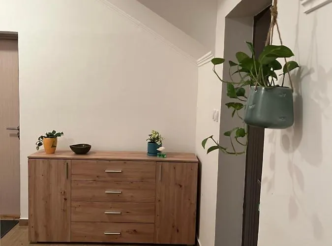 Guest Radic Soba Palić